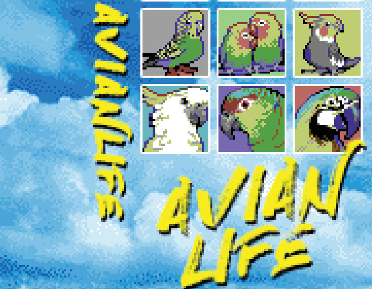 aviantape.jpg