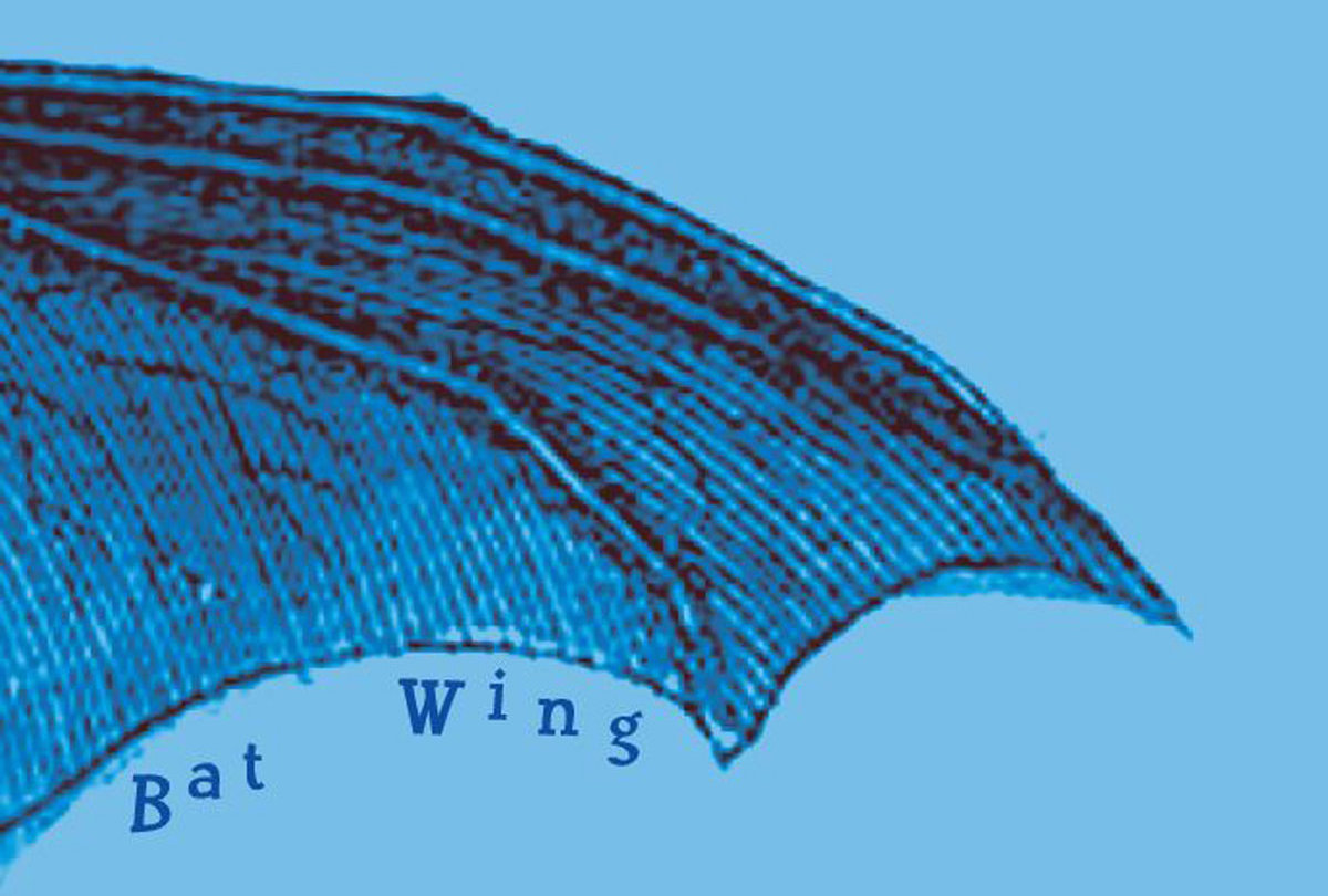 batwing.jpg