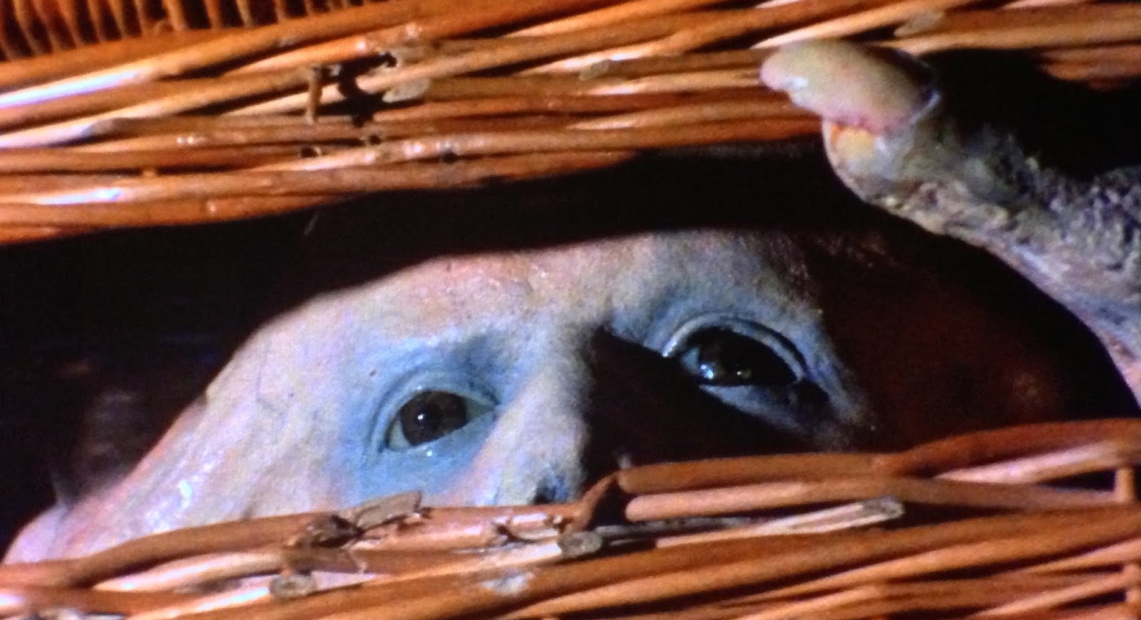 basket-case.jpg