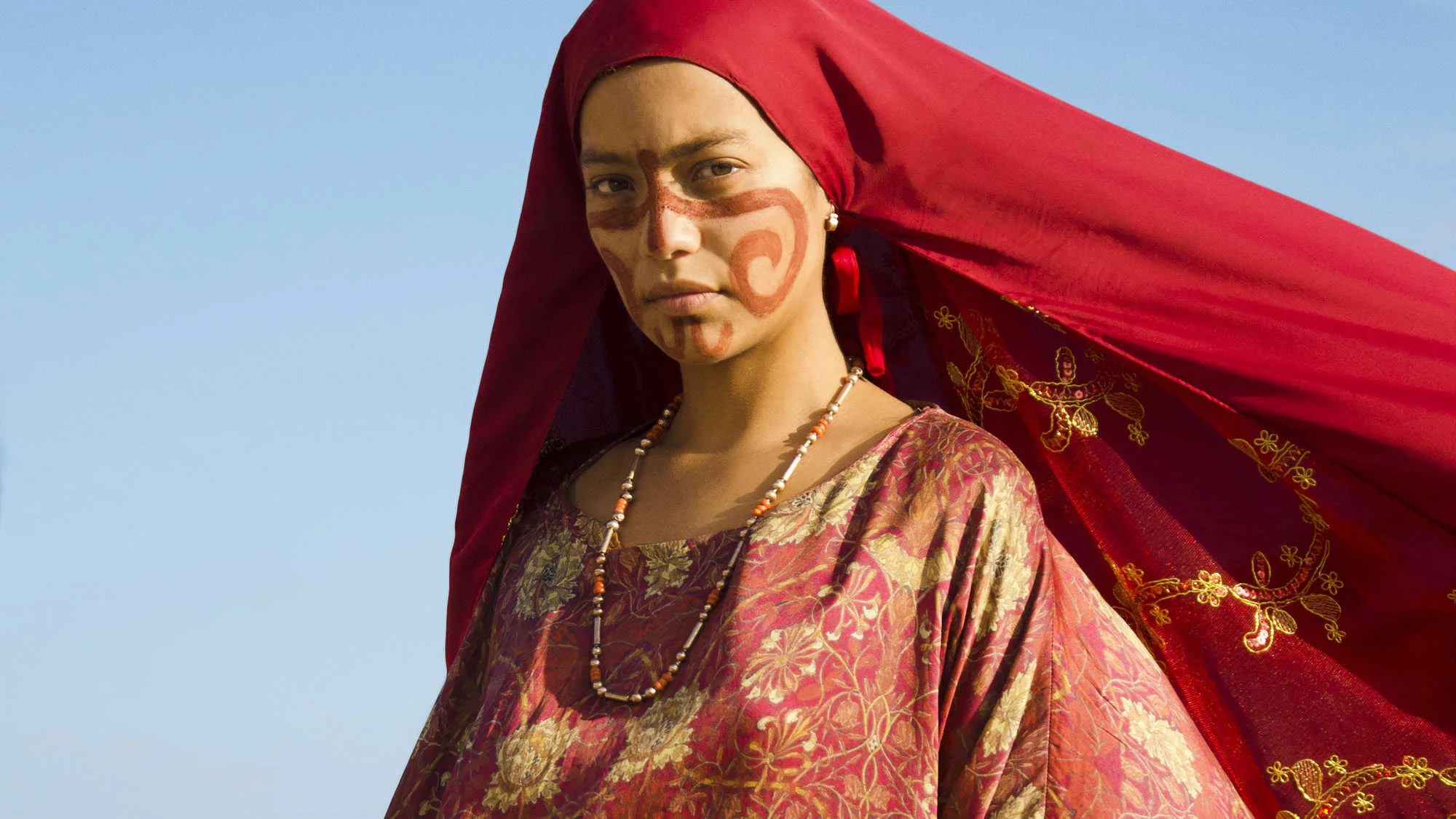 birdsofpassage.jpg