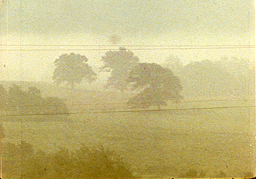 Gottheim FOG LINE.jpg