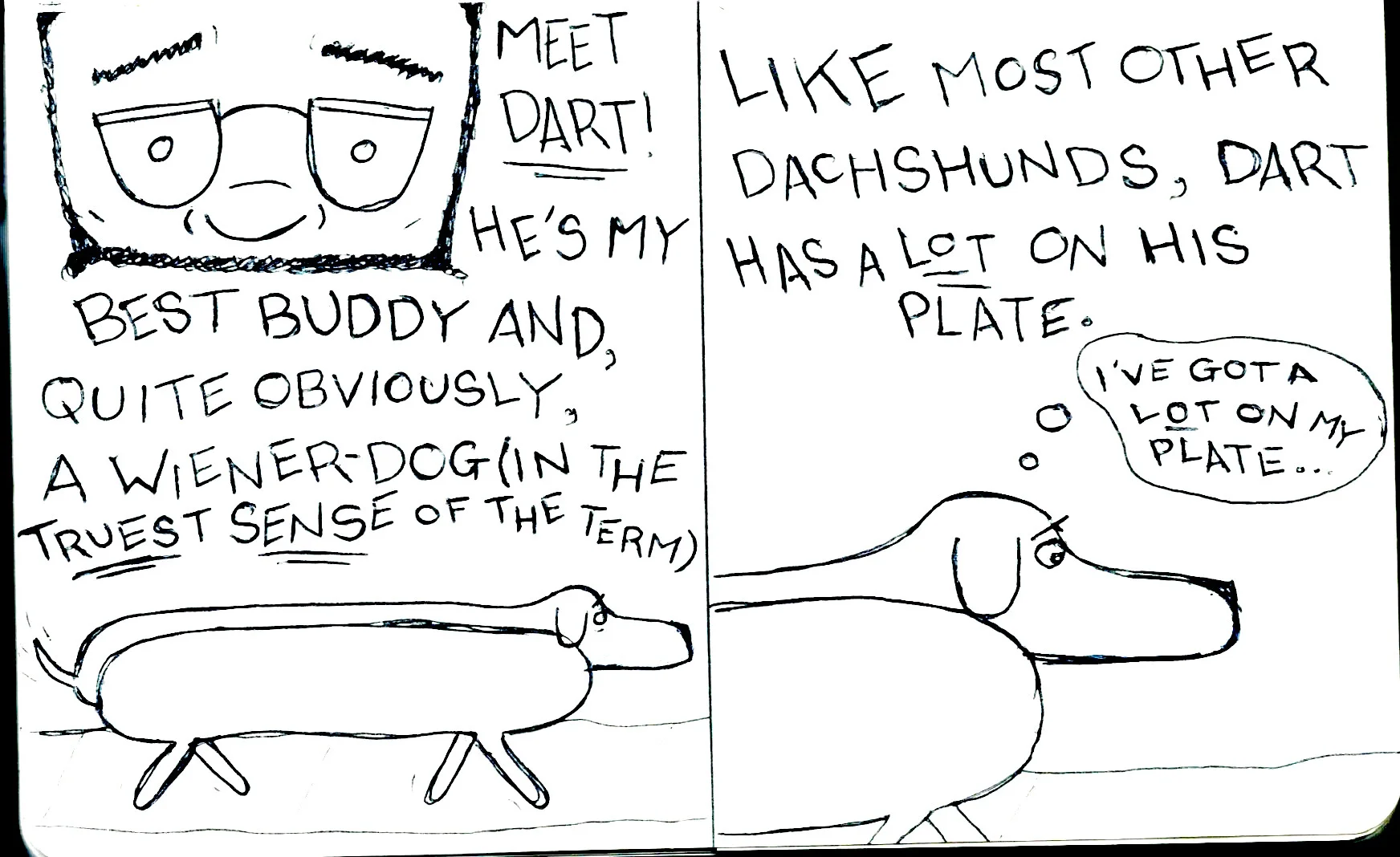 Grown_Meet Dart.jpeg