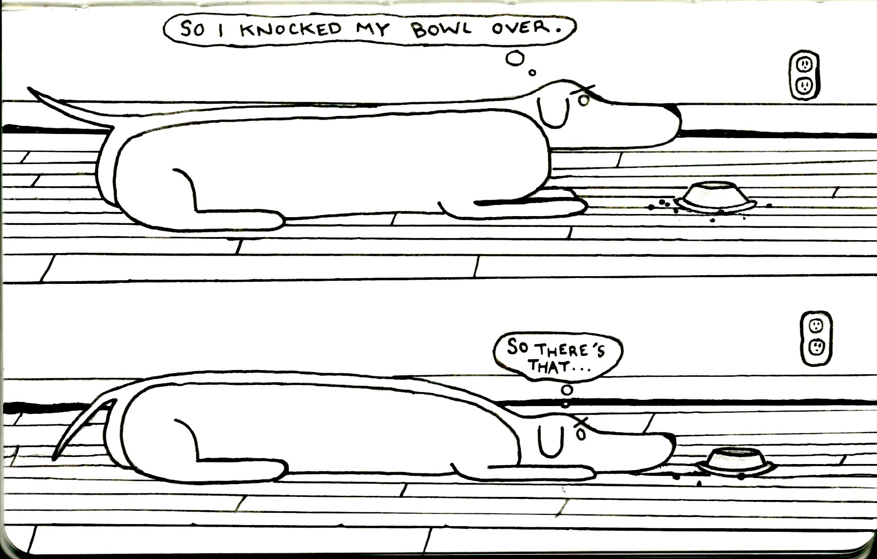 Grown_DartBowl.jpeg