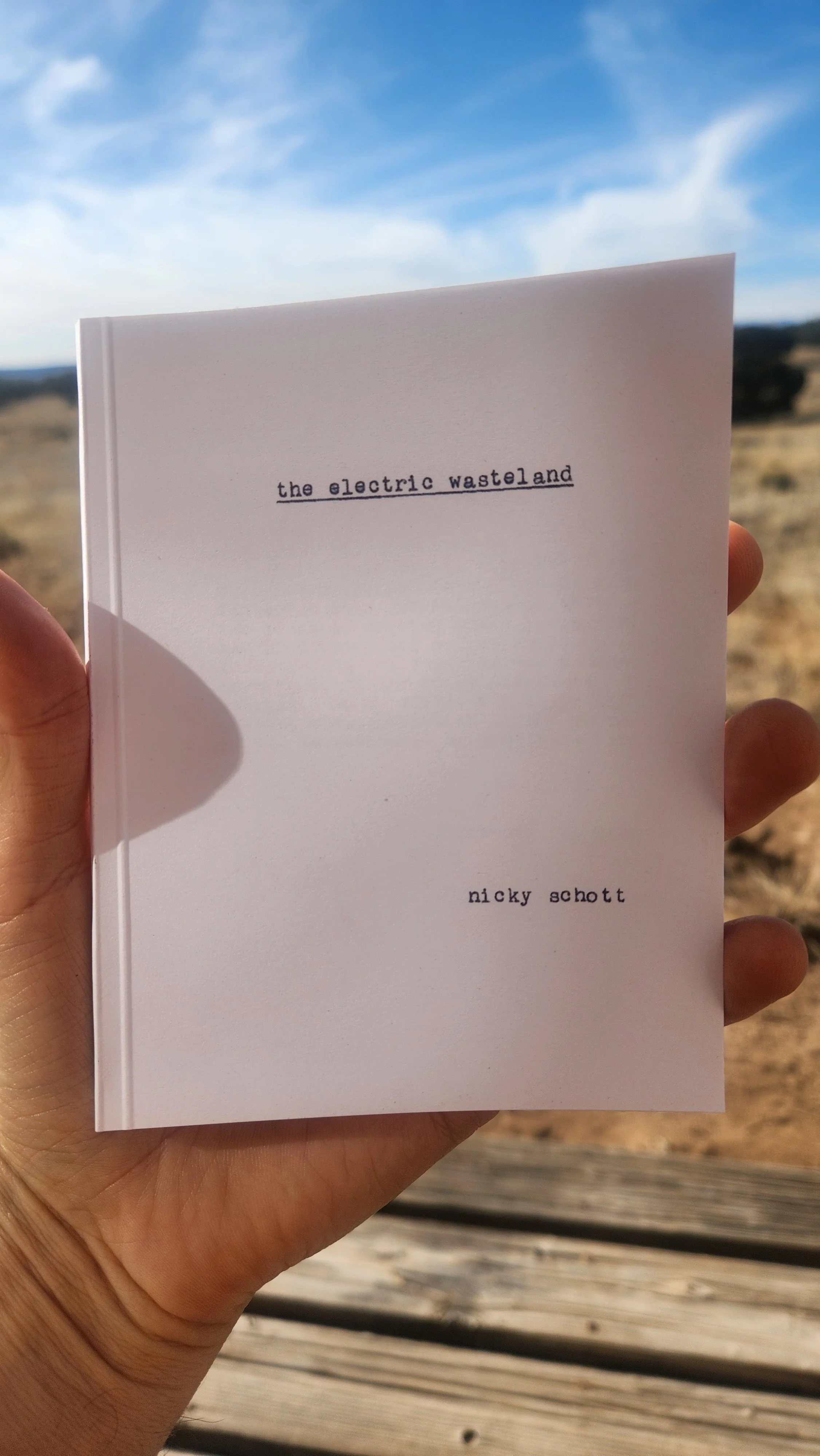 elec waste cover.jpeg