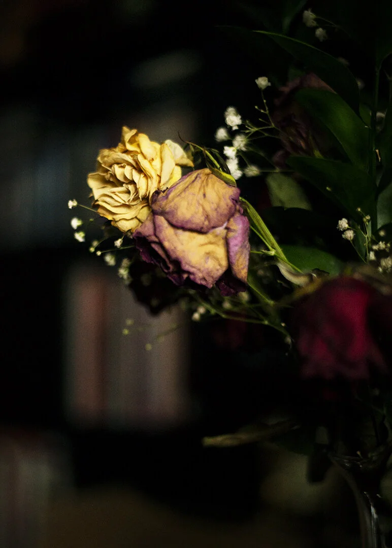 dying valentine roses_27 Feb 2021.jpg