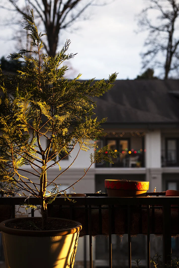 sunset and lights_24 Jan 2021.jpg