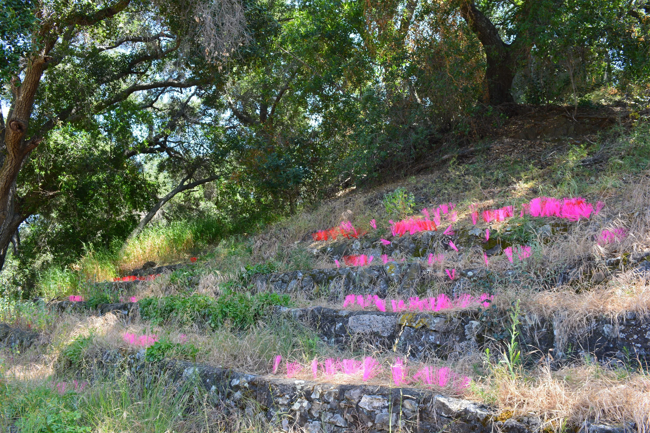 DSC_0653.JPG
