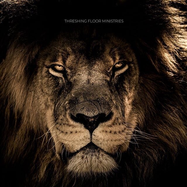 &ldquo;The altar is where lambs become lions&rdquo; - Michael Conti
.
We must continue to become the sacrifice on the altar so that the fire of the altar continues to burn. Every revival has a sound. This one will have the sound of a roar coming from