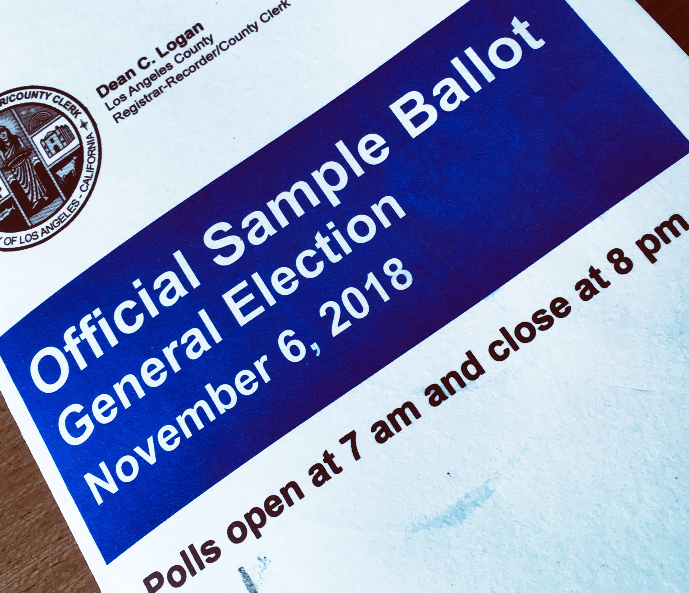 LA Voting Guide
