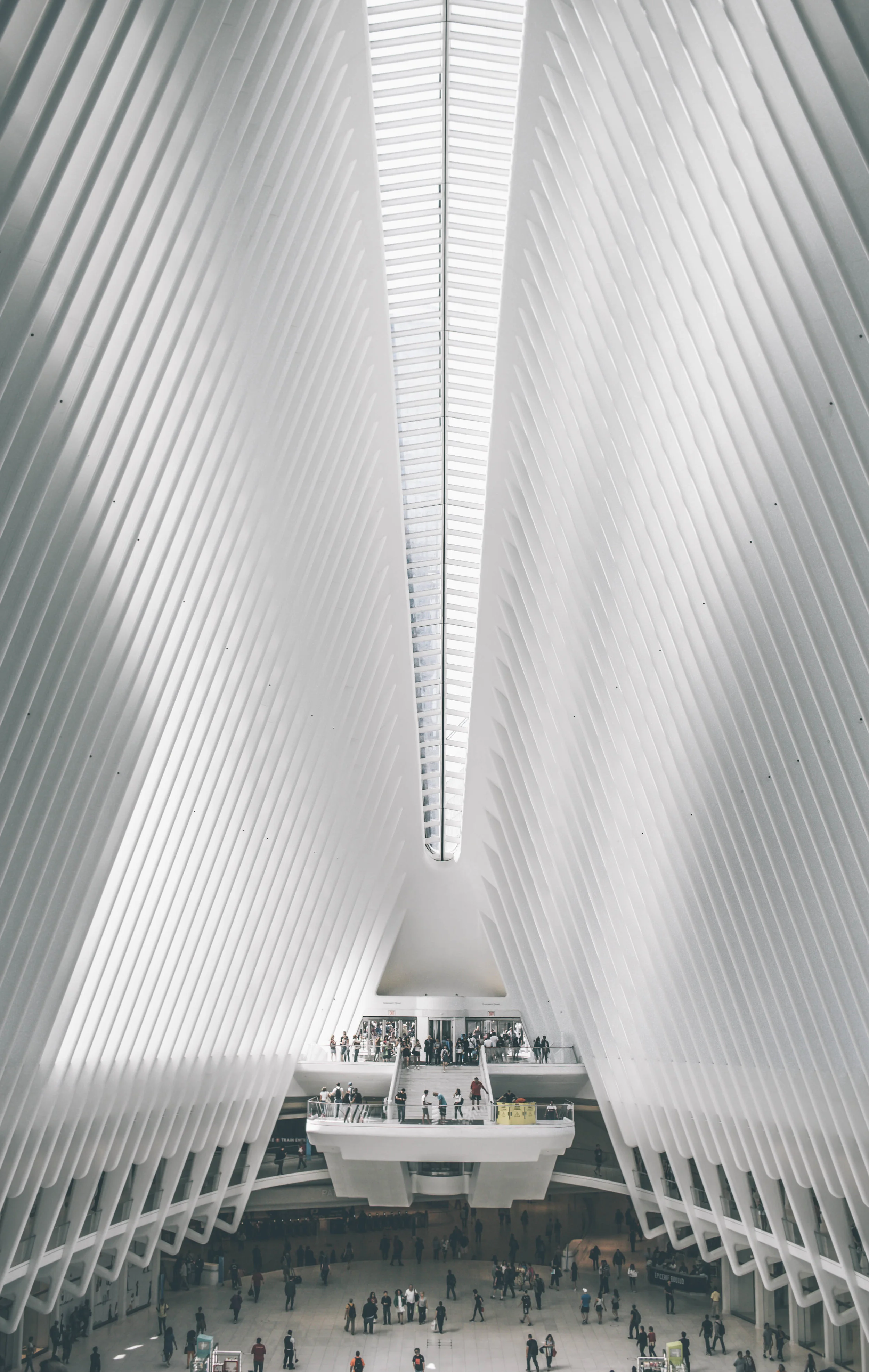 DUMBO-82.jpg