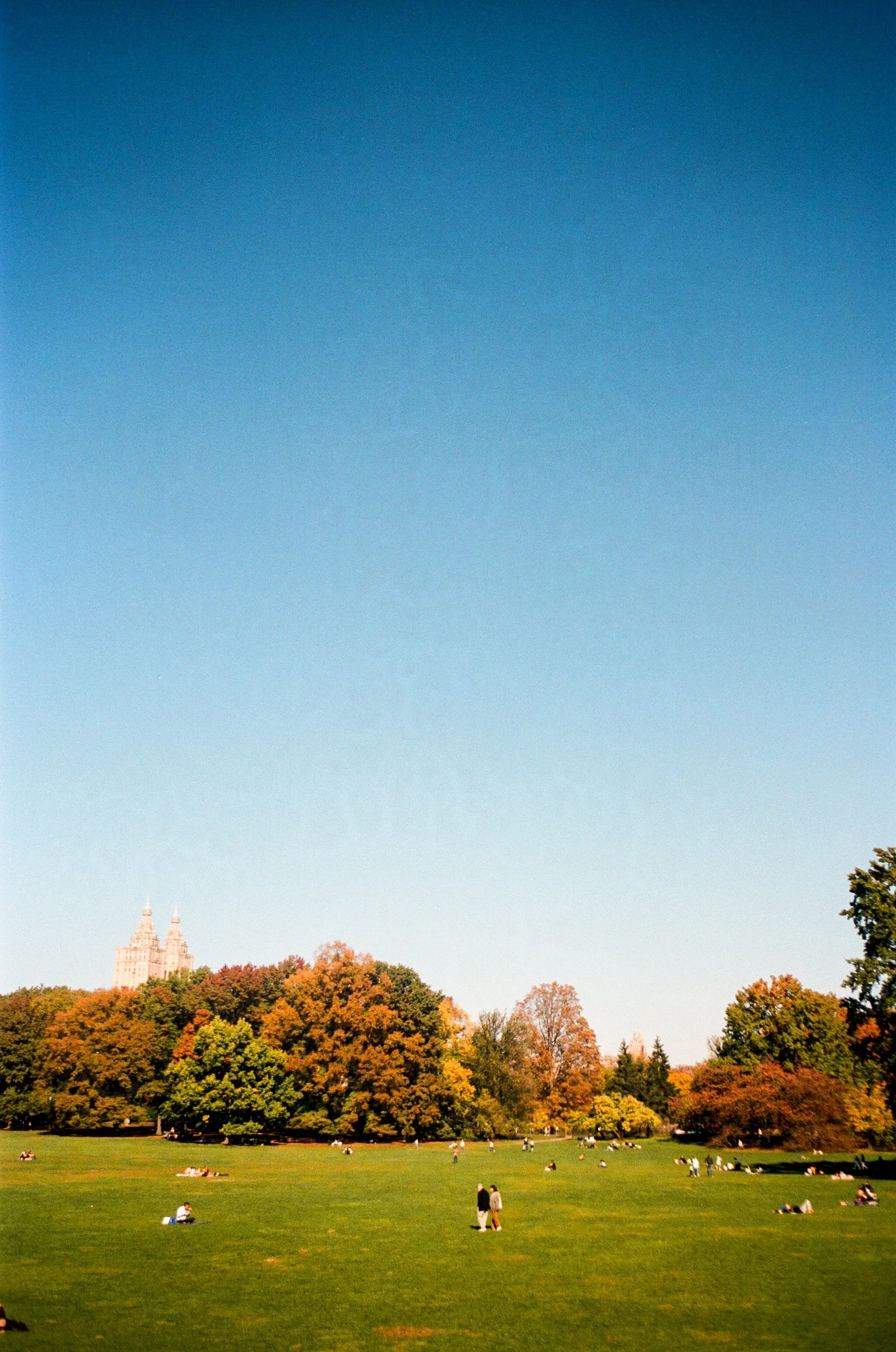 000011970012.jpg