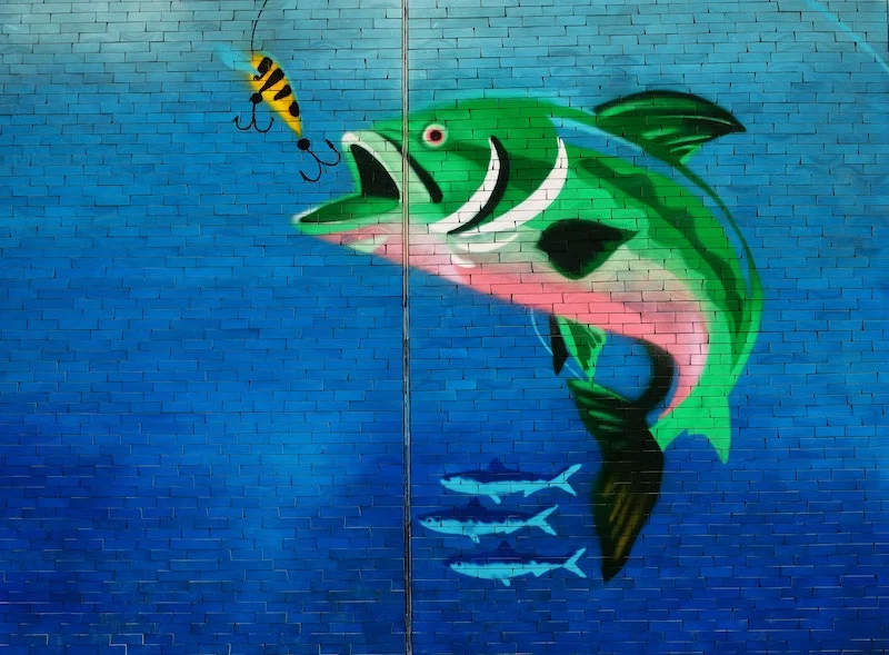 Take a Phishing Quiz!
