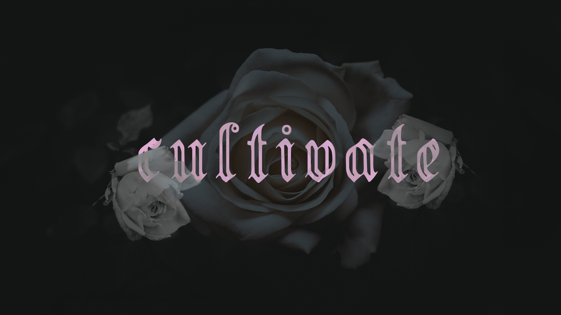 background.png