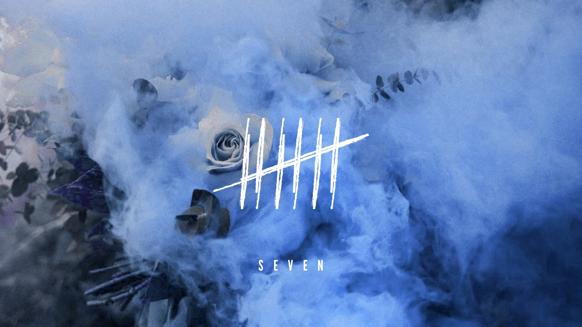 seven.jpg