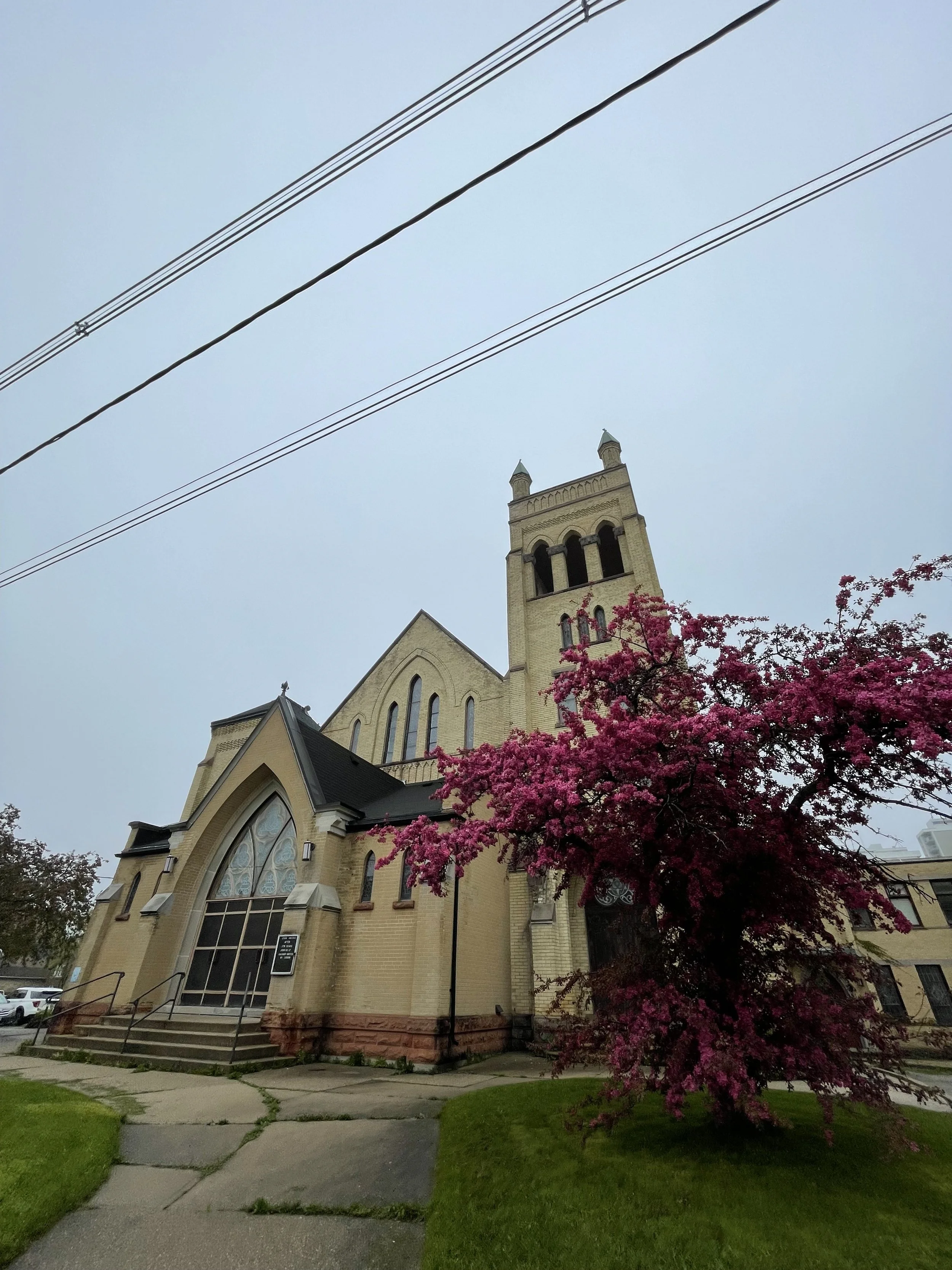 IMG_6050.jpeg