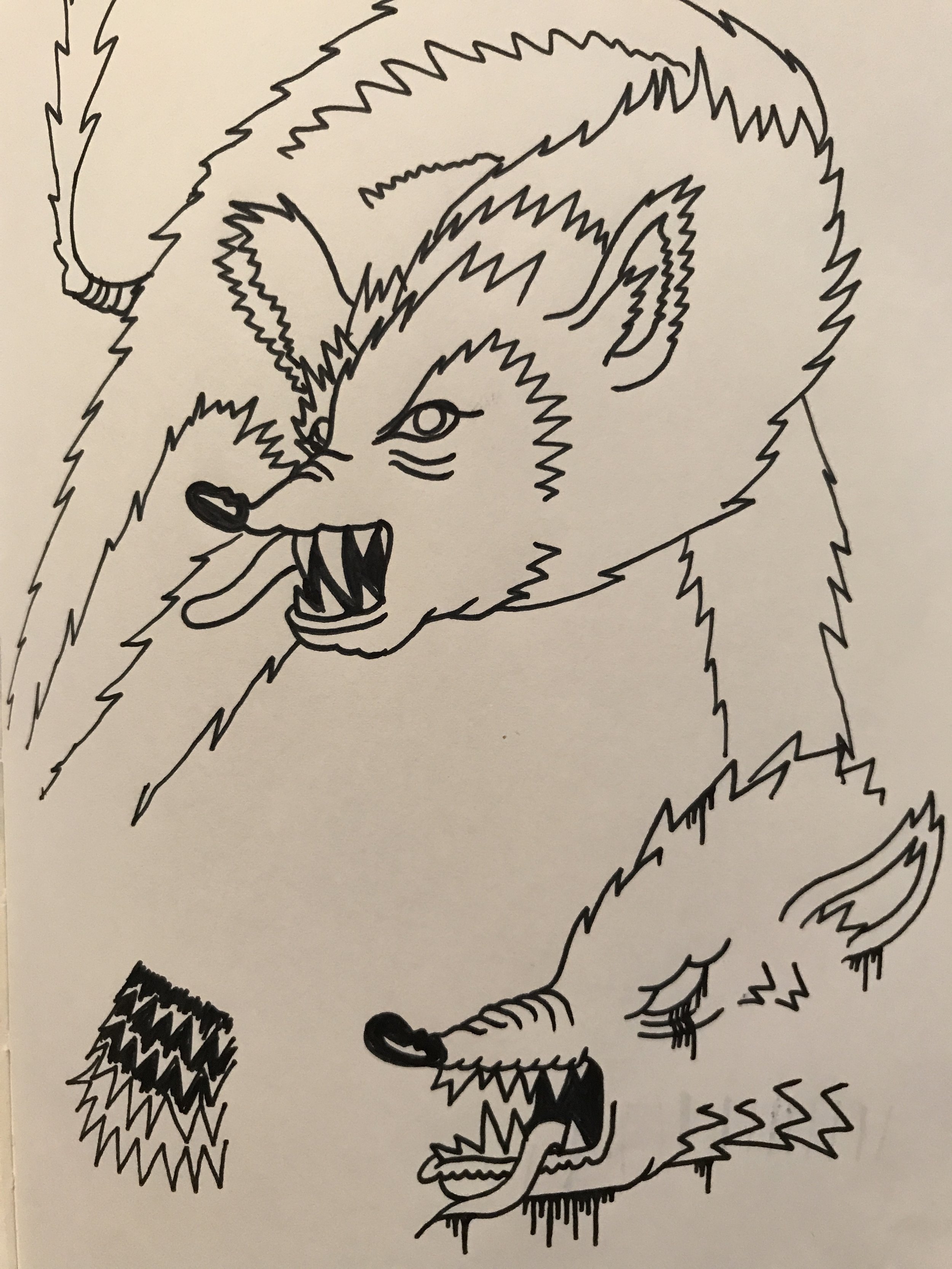 More studies of Krags