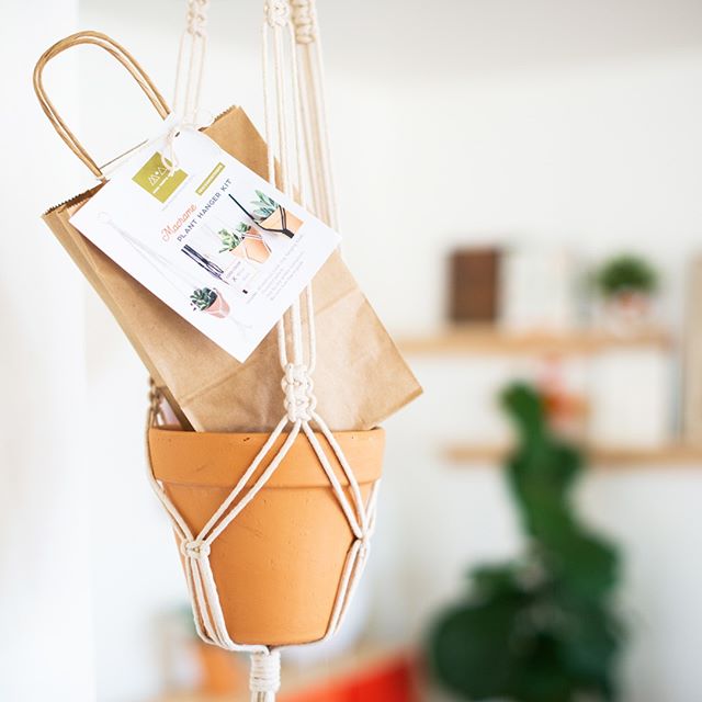 Creating a plant hanger is a great beginner project if you're starting to explore macrame 🌿 The repetition of having to work your square knots or spiral knots down each arm makes for a lot of practice. You'll be a pro by the end!⁠
〰️⁠
Find this plan