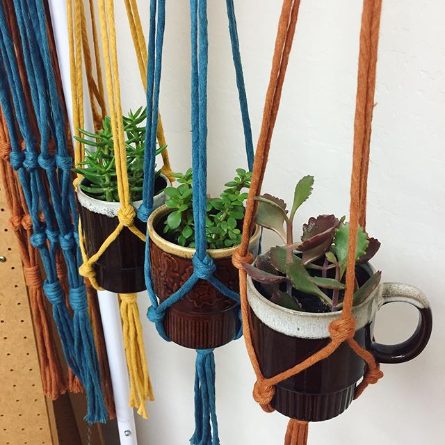 Turned all that lovely rope into mini plant hangers 😍 I&rsquo;m selling these mug sets at the @localtrade.az Early Bird market today! Come shop from 9-3 (it&rsquo;s at the @shopsattownandcountry plaza) 😁 I&rsquo;ve been telling everyone to put thei