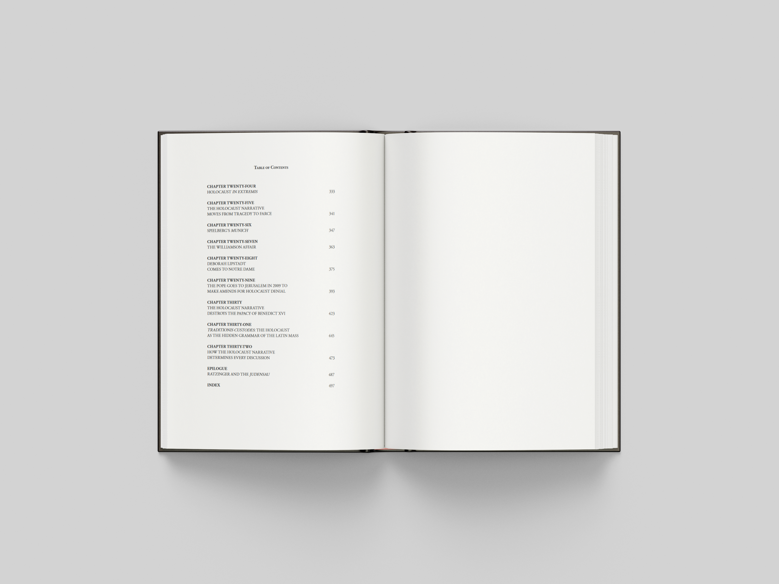 Holocaust Book toc 2 White background Free_Book_Mockup_4.png