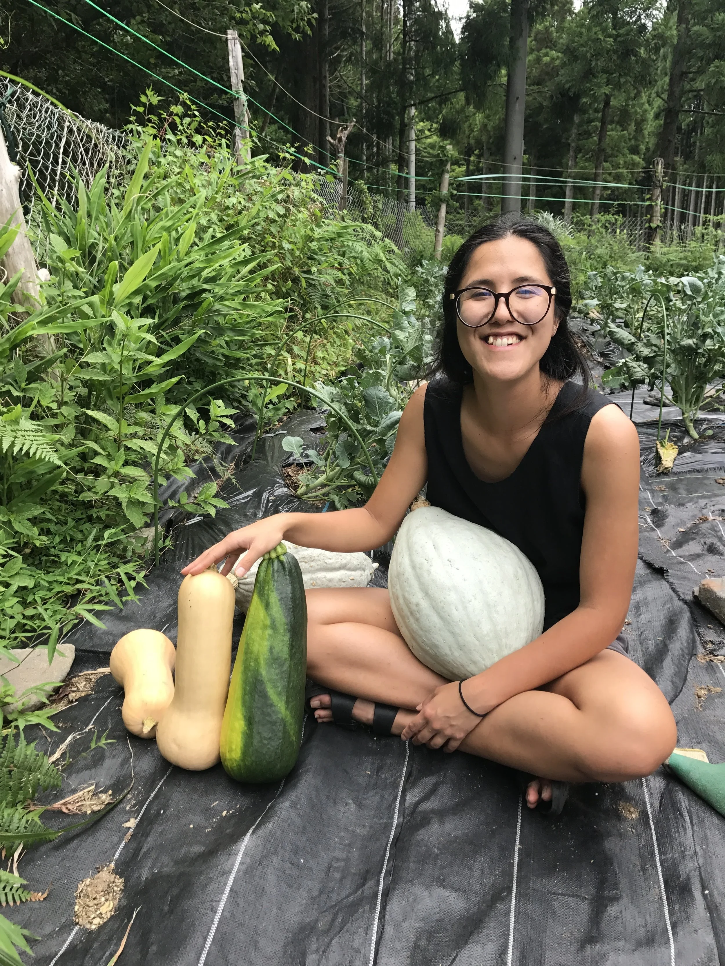 The first harvest of some of our winter squash, Butternut Squash and the Blue Hubbard. For better or worse, this year we also got some でかい zucchinis!