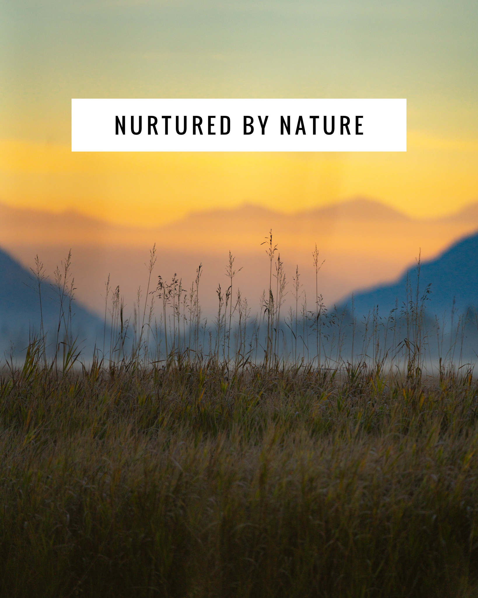 Nurtured by Nature Retreat