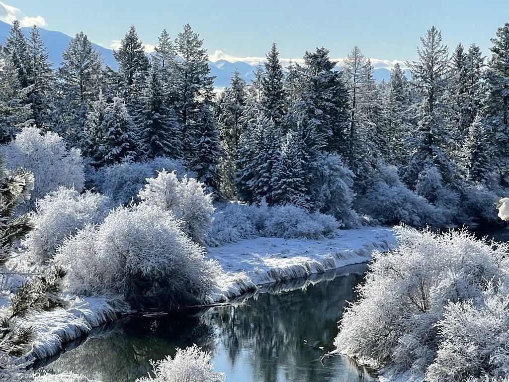 dsr winter snowy river.jpeg