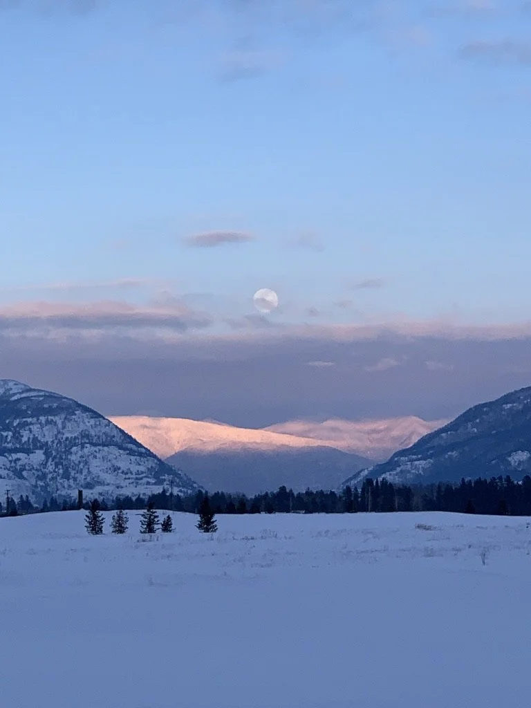 dsr winter moon.jpeg