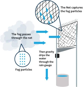 fogillustration_RGB.jpg