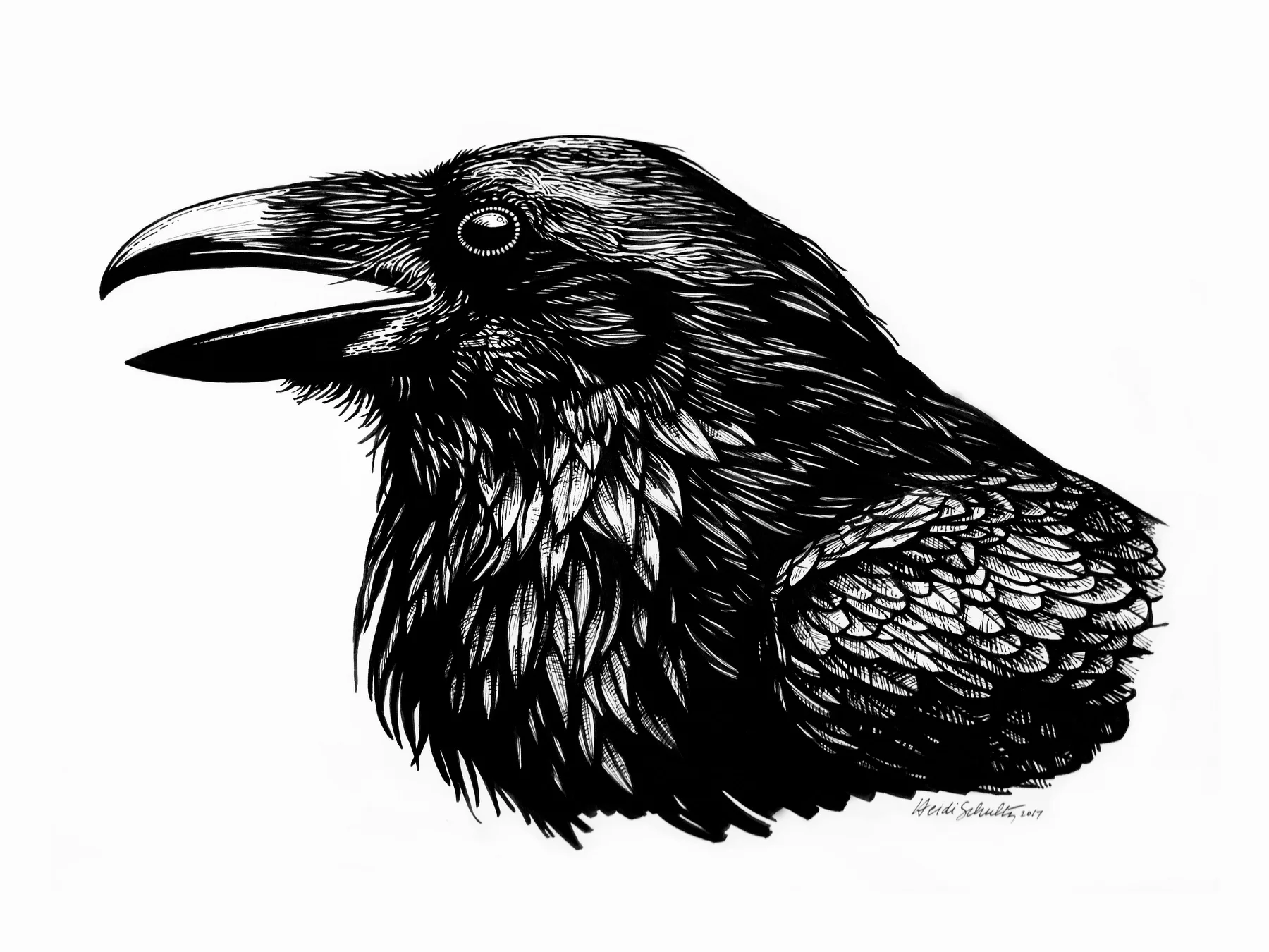 Raven pen and ink