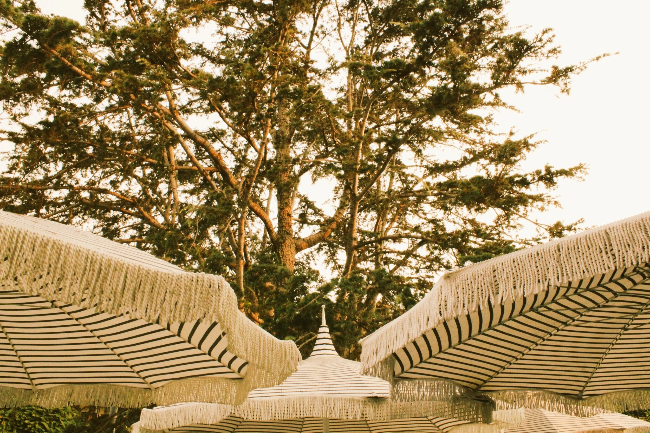 photo may 01, 3 11 27 am.jpeg