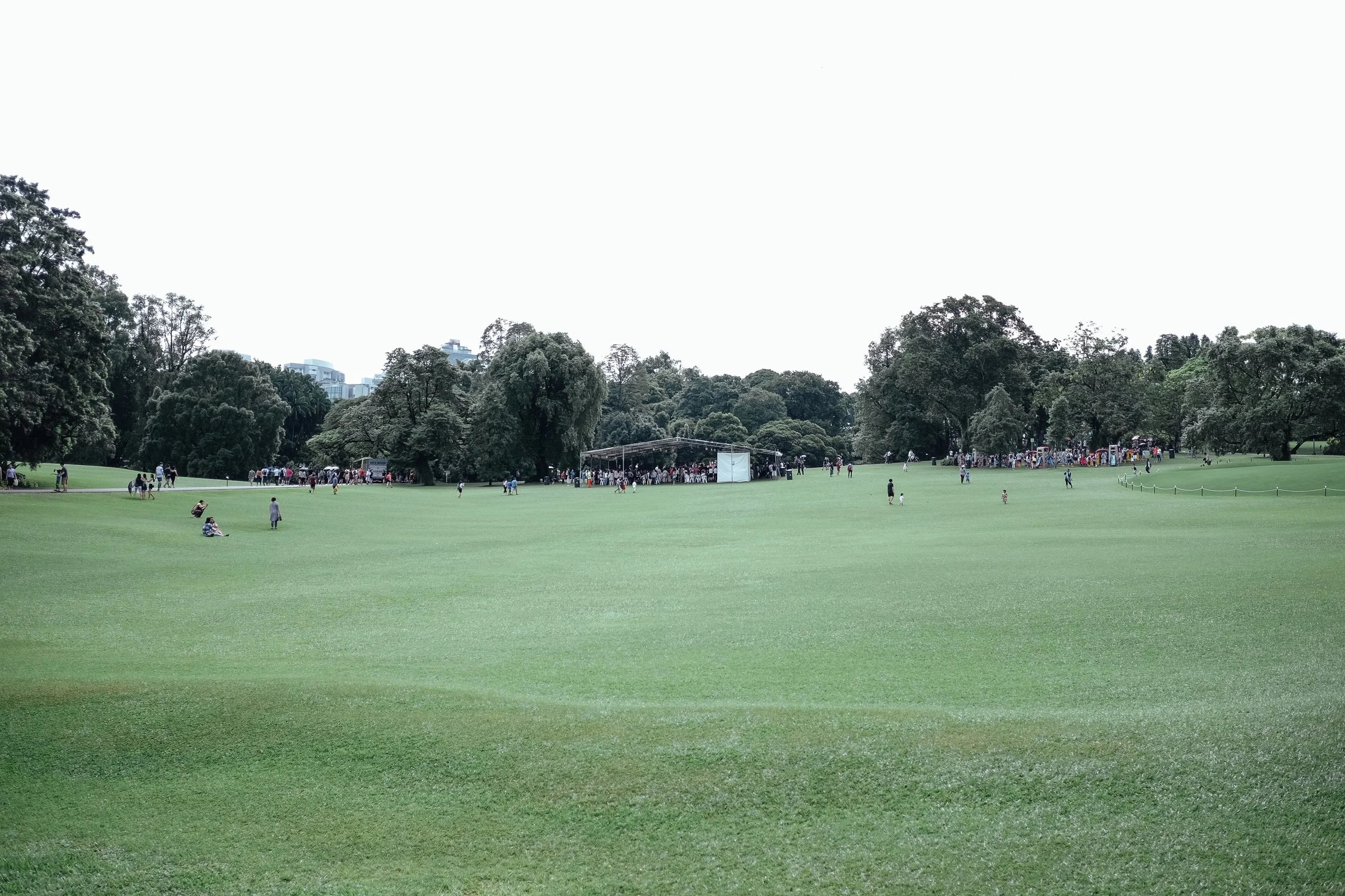 DSCF9016.jpg
