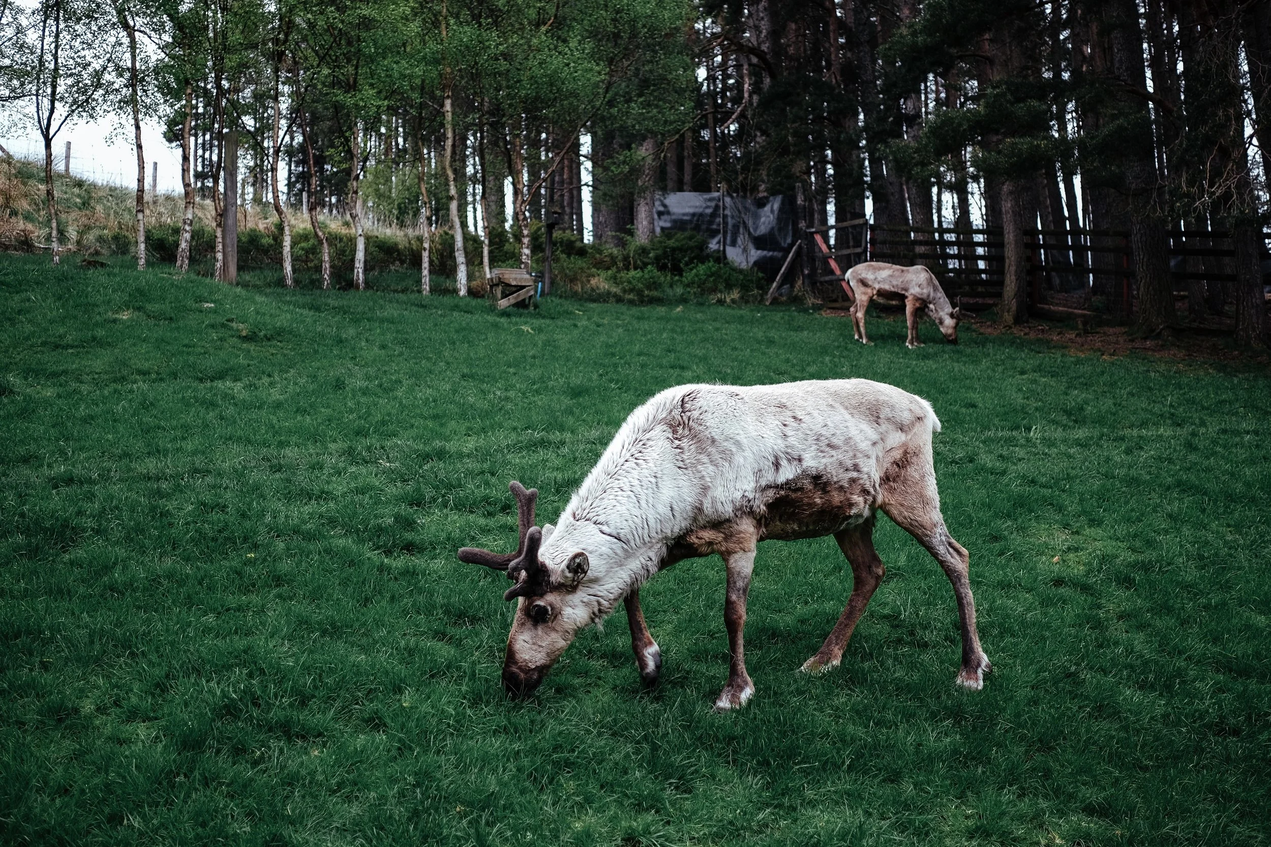DSCF5117.jpg