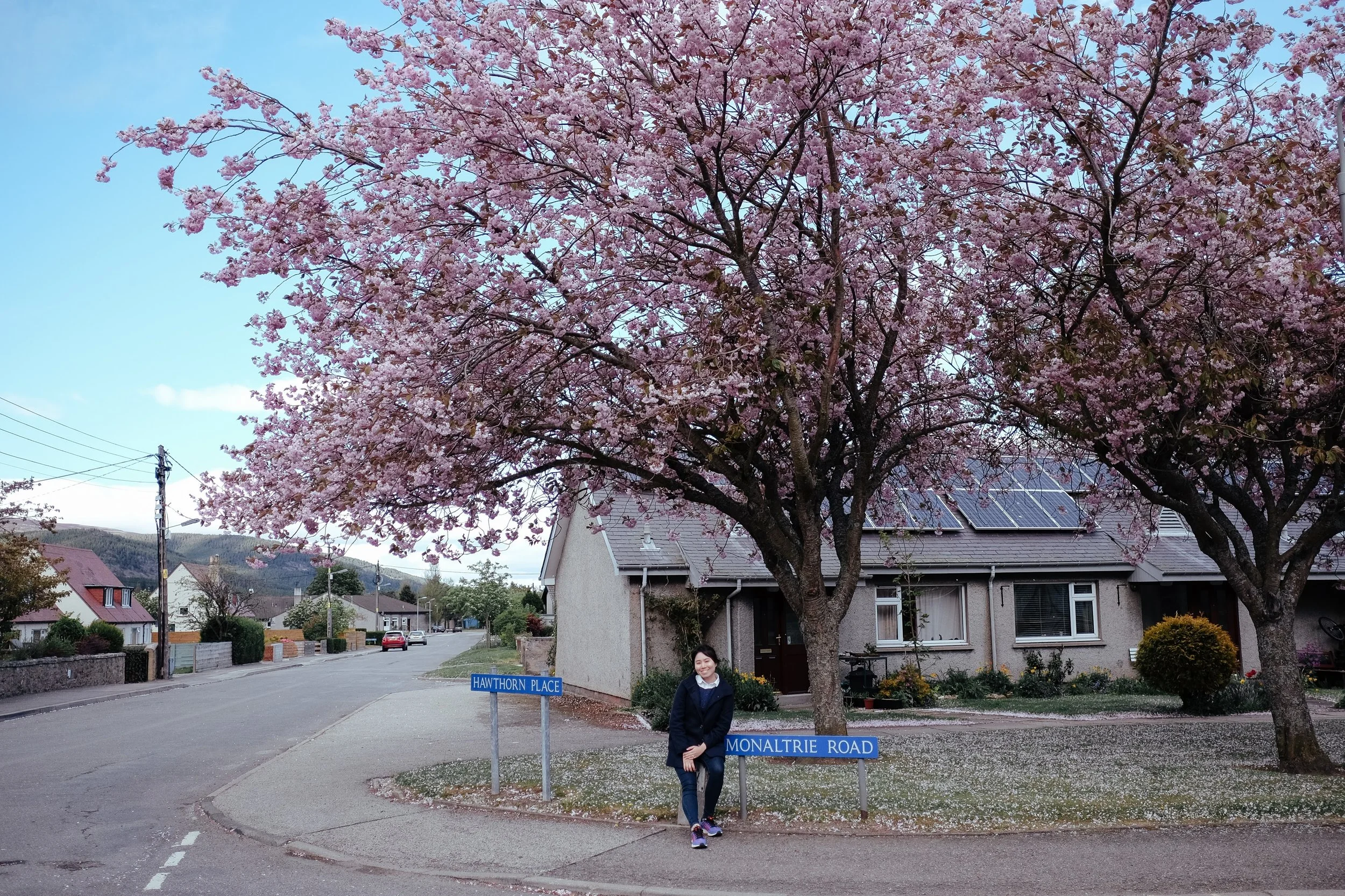 DSCF5380.jpg
