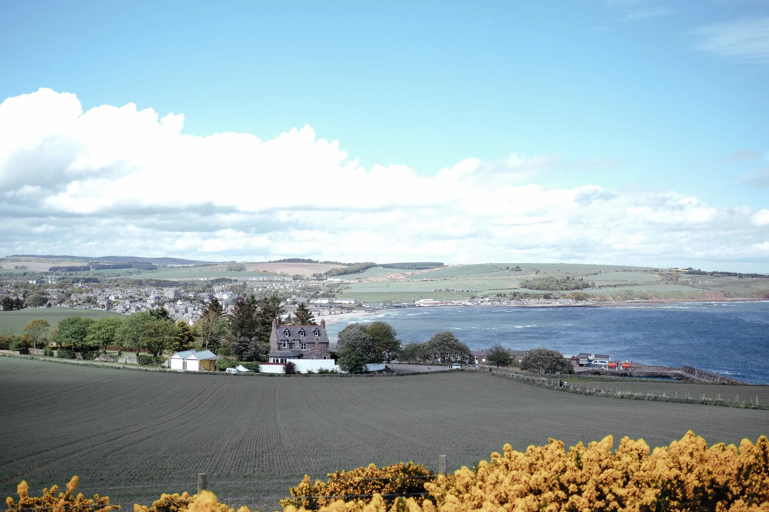 DSCF5576.jpg