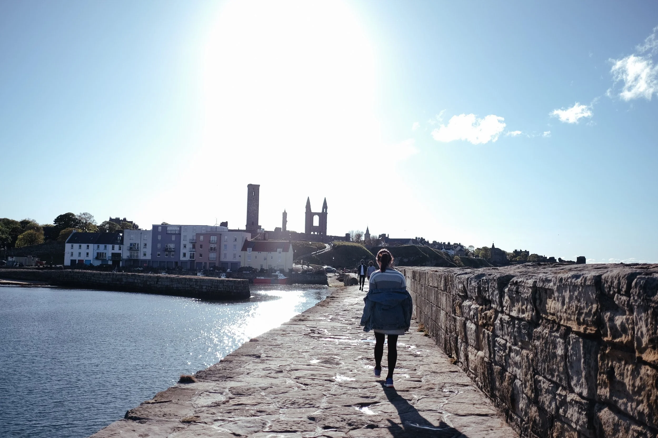 DSCF5735.jpg