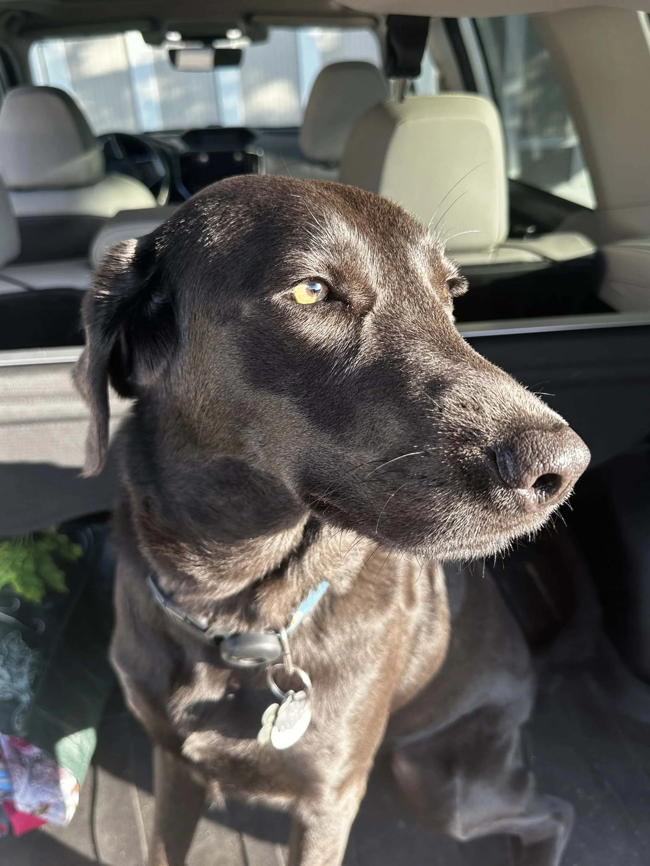Nairobi "Robi" Henry posing in the car