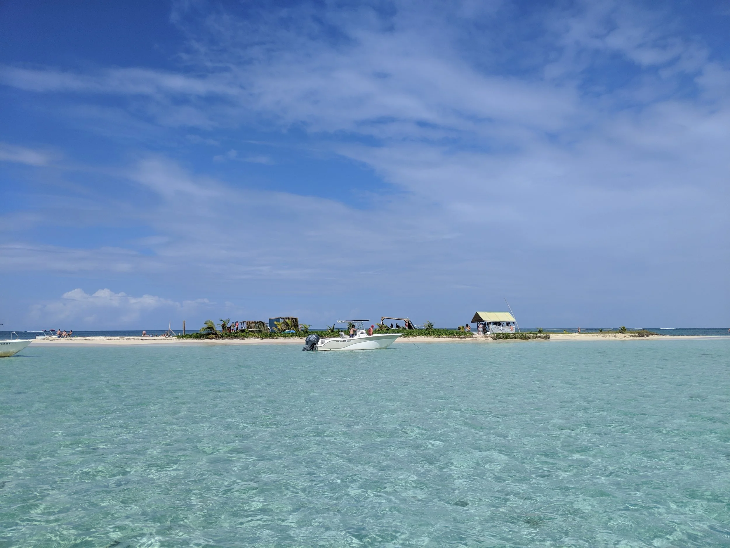 IMG_20190111_121244_1.jpg