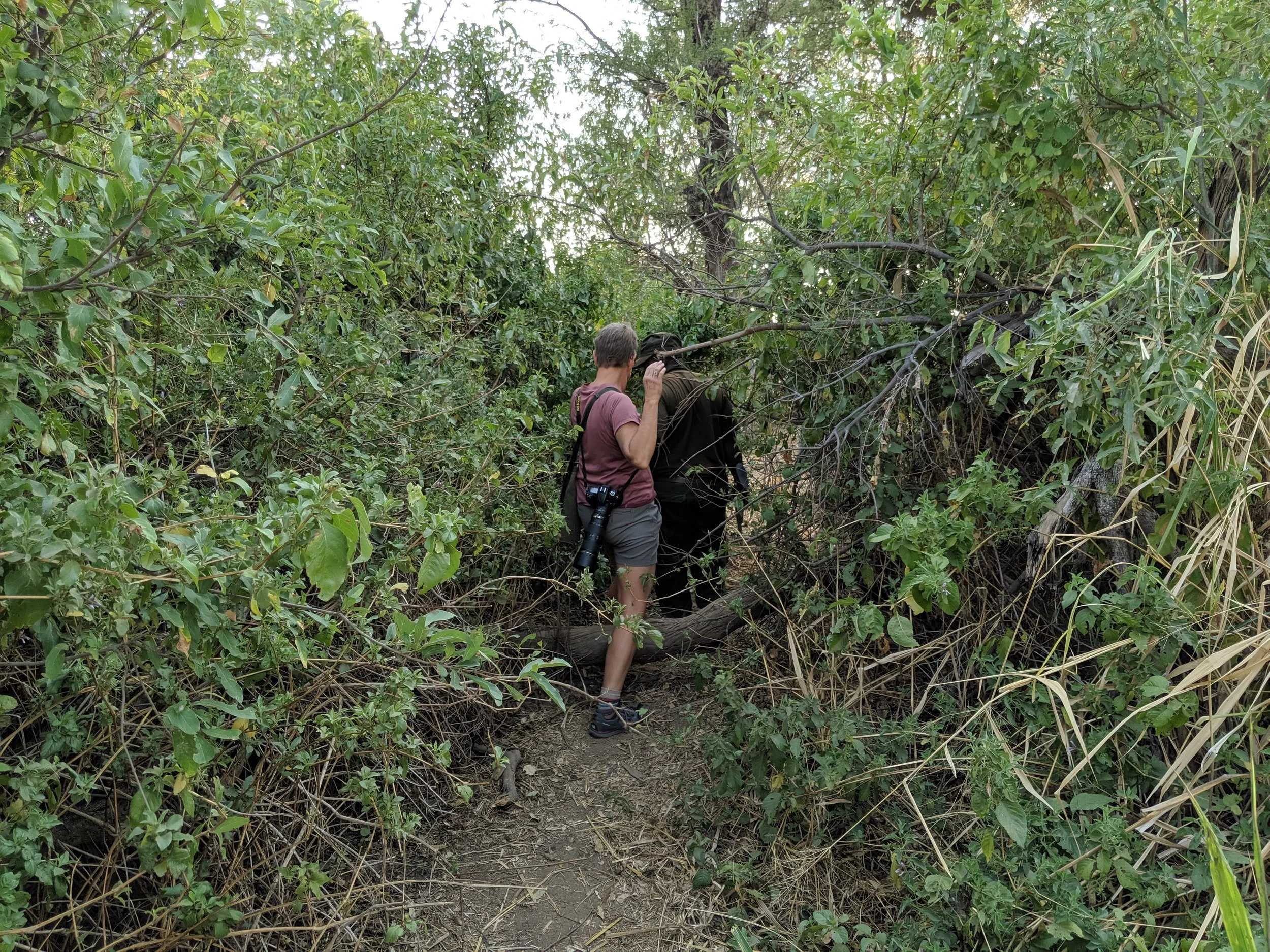 IMG_20190625_083256.jpg