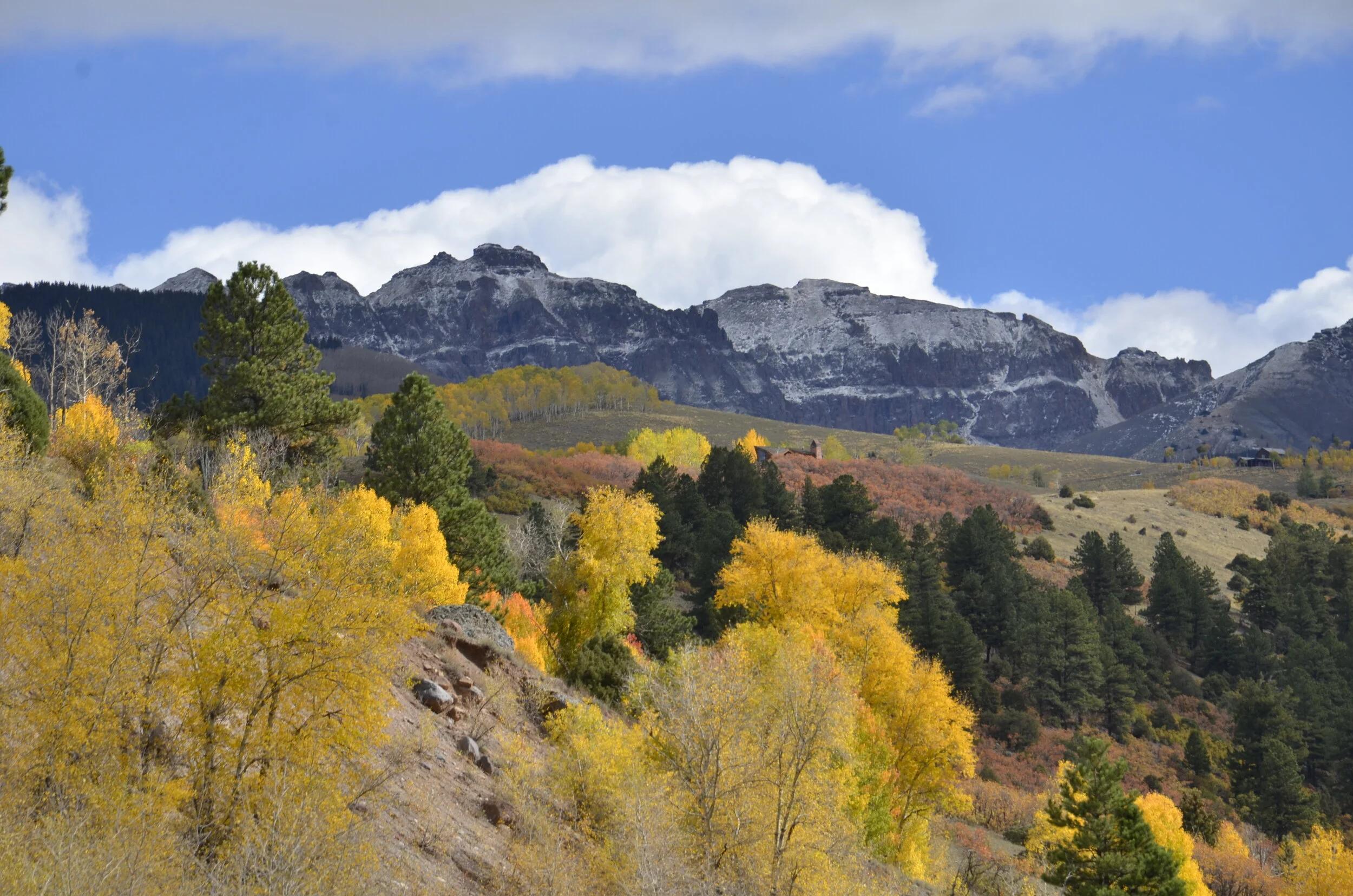 _DSC6105.JPG