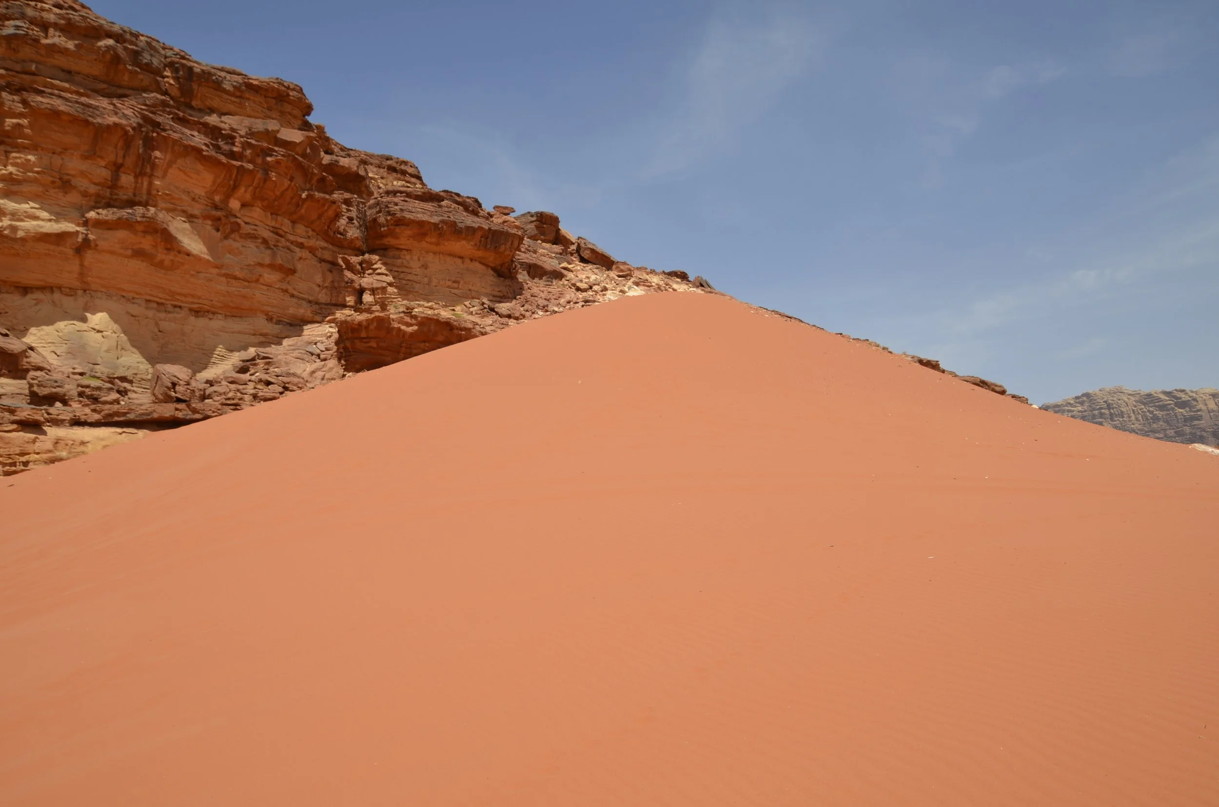 _DSC7837.JPG