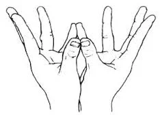 3-padma-mudra.jpg