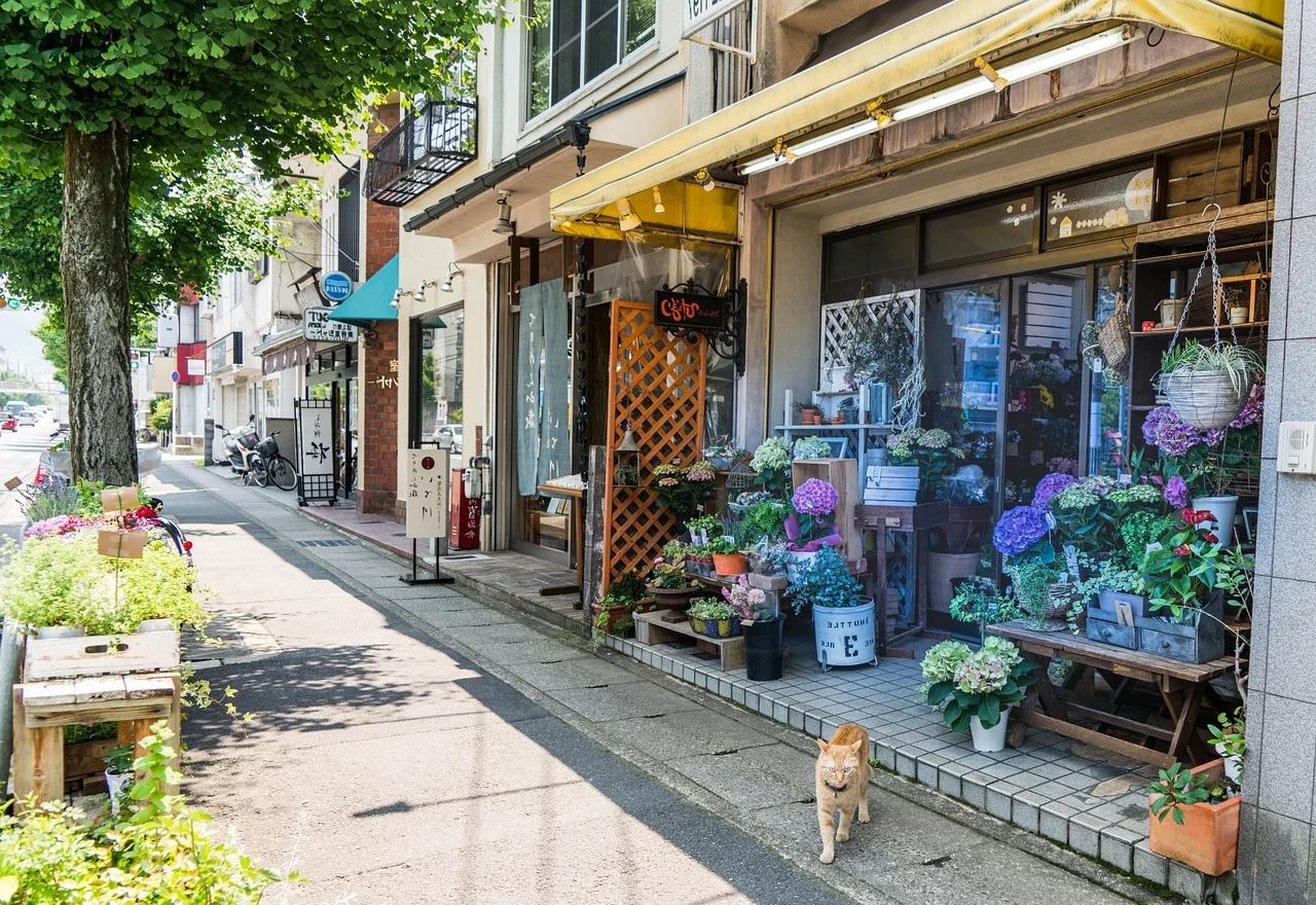 Streets of Kyoto. Notice how clean!