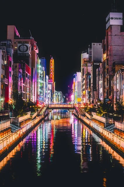 Enjoy the lively nightlife in Osaka