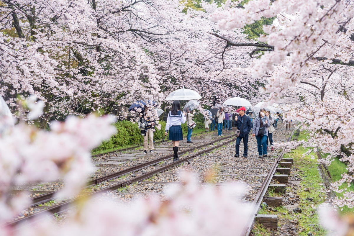 All across Japan