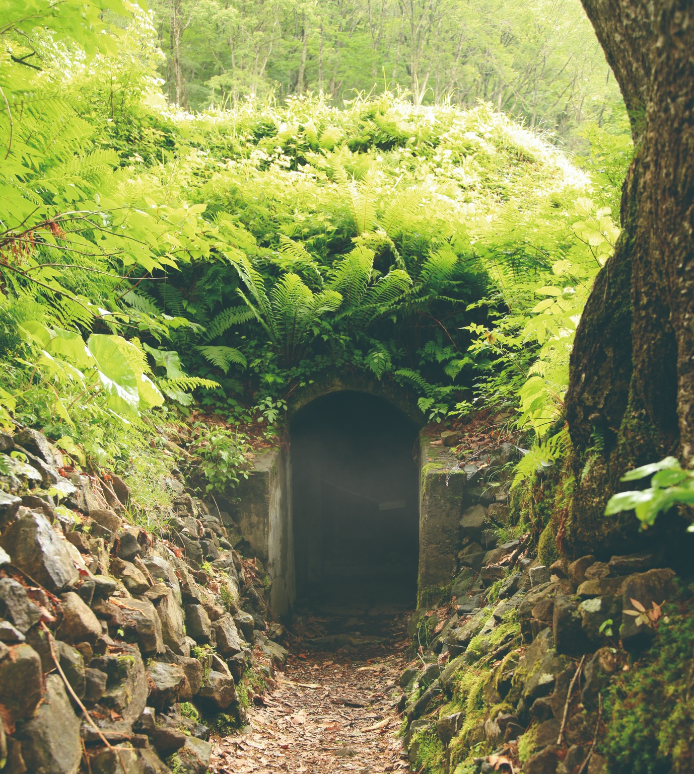 Cool wind caves