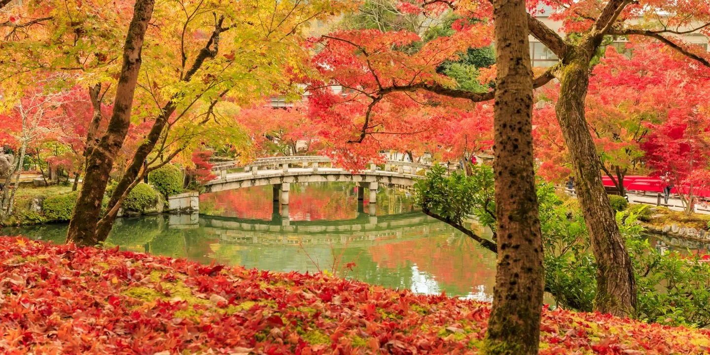 A scenic view of a park with colorful autumn leaves, a small arched bridge over a pond, and trees with red, orange, and yellow foliage.