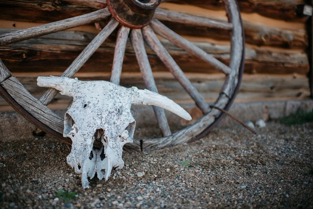 country side at strawberry creek ranch in Granby Colorado