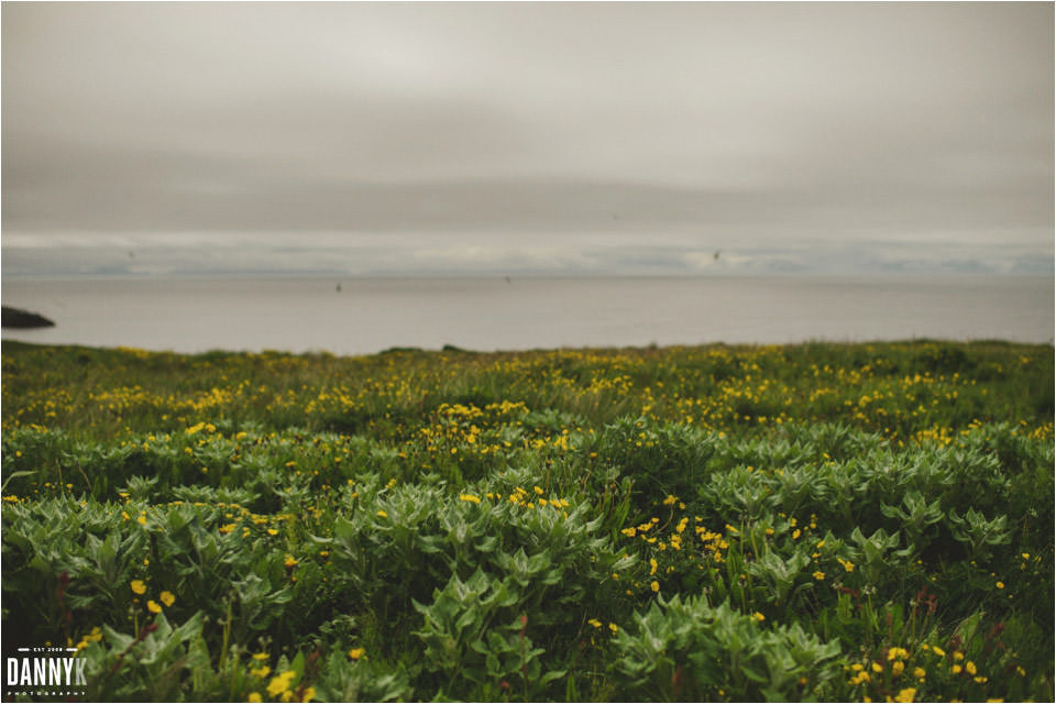 039_Grimsey_Iceland_Destination_Wedding_Photography.jpg