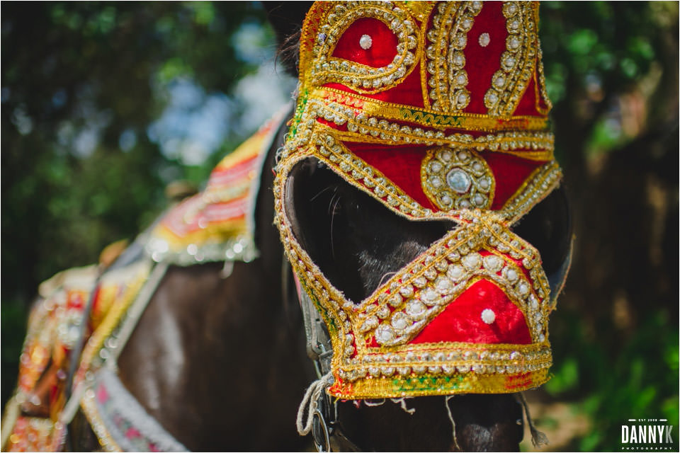 055_Hawaii_Indian_Destination_Wedding_baraat.jpg