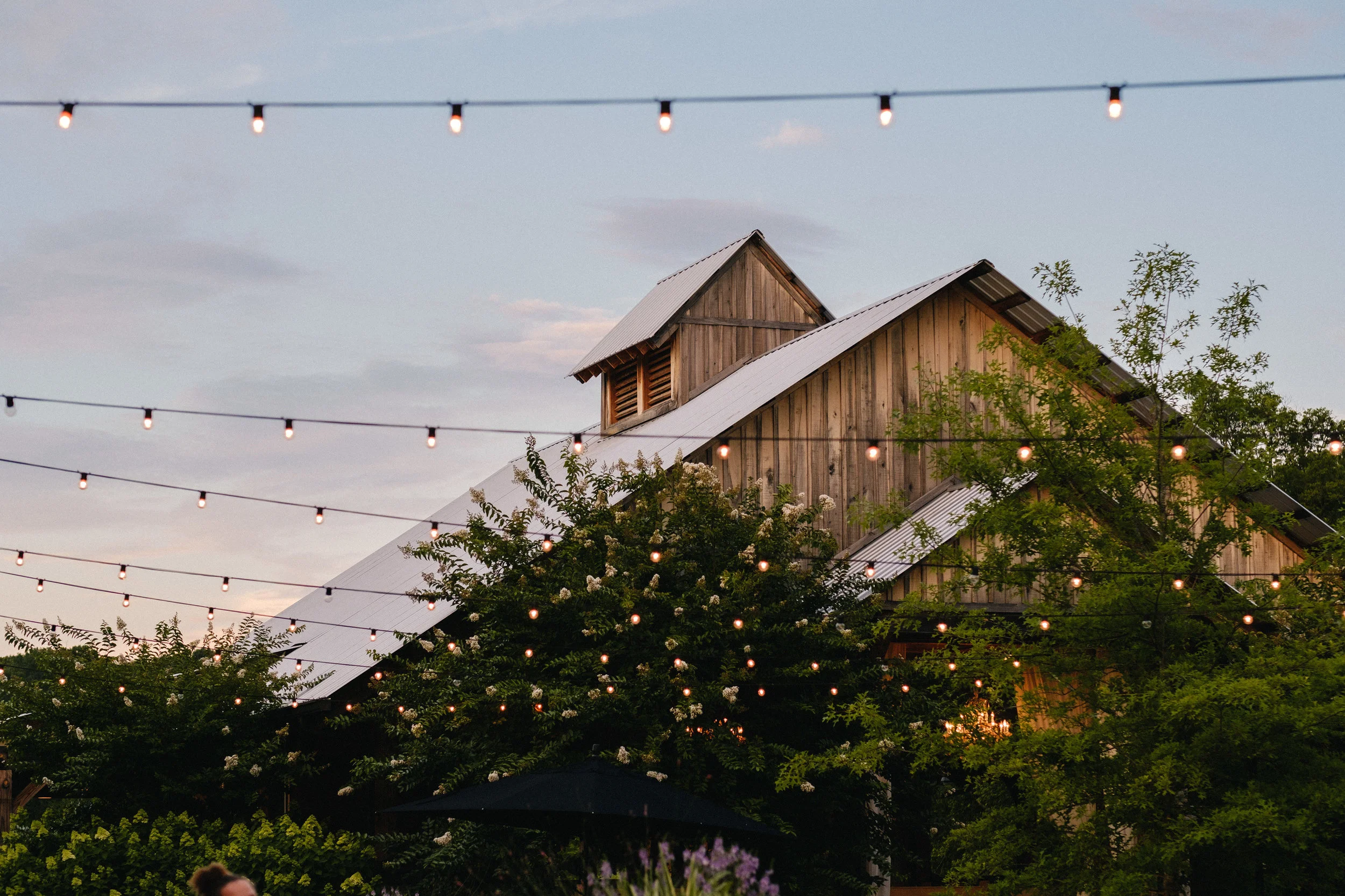 Nashville_Wedding_Photography_Mint_Springs_63.jpg